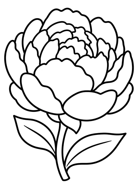Easy Single peony bloom coloring page