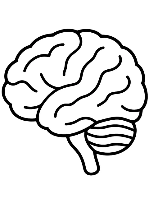 Easy Brain side view coloring page