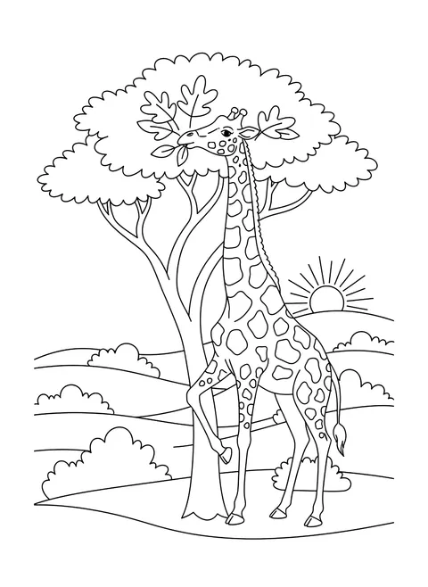 Giraffe eating leaves coloring page