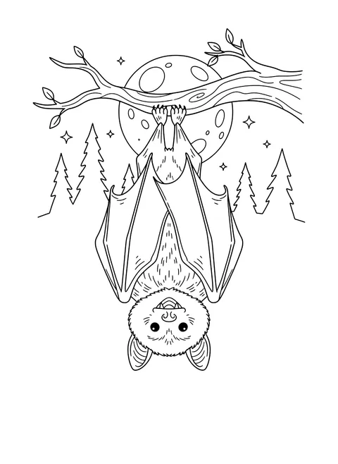 Bat roosting upside down coloring page