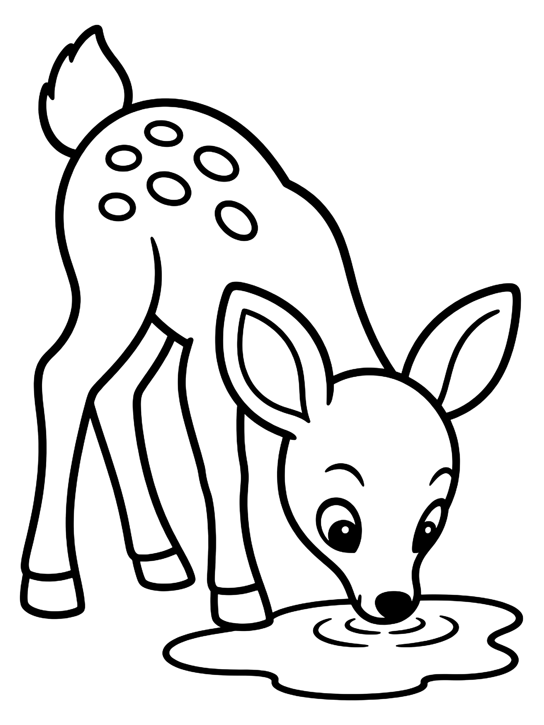 Easy Fawn drinking from a puddle coloring page