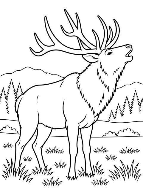 Elk bugling in a meadow coloring page