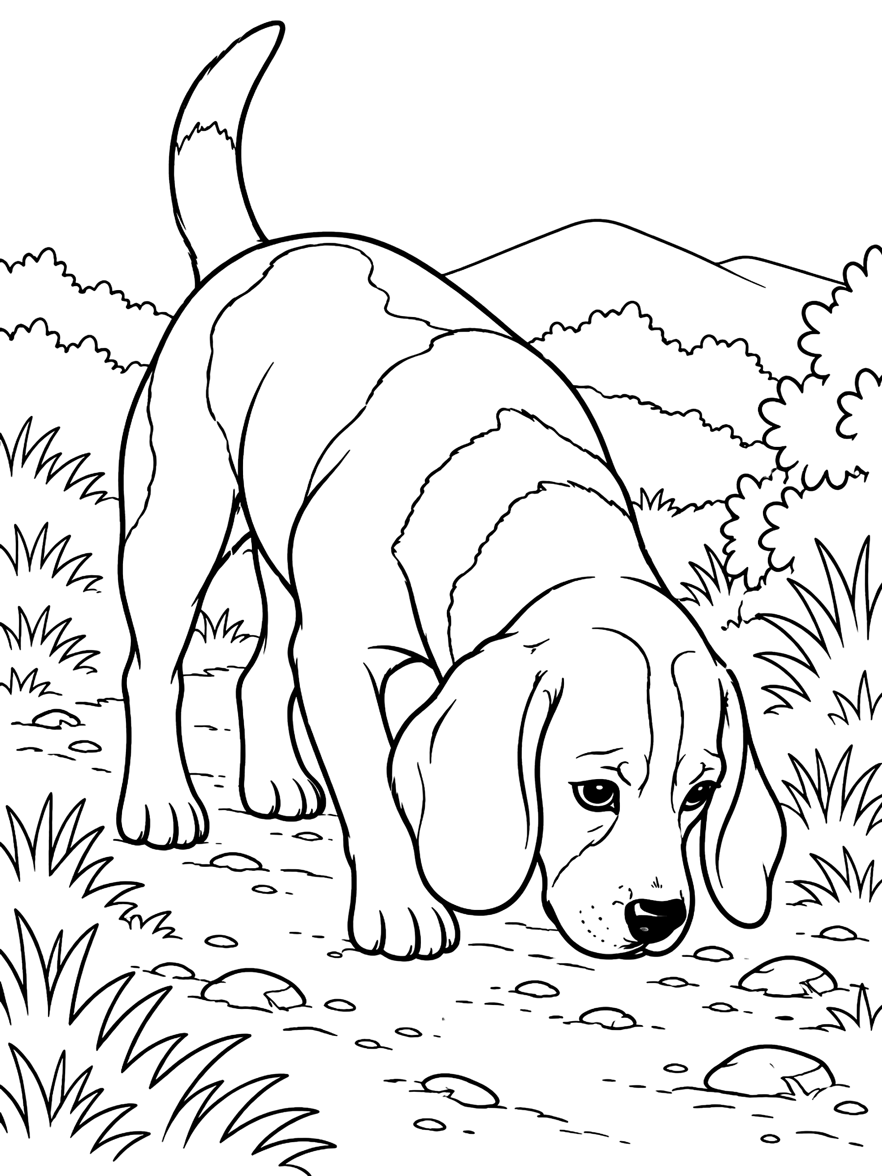 Beagle sniffing a trail coloring page