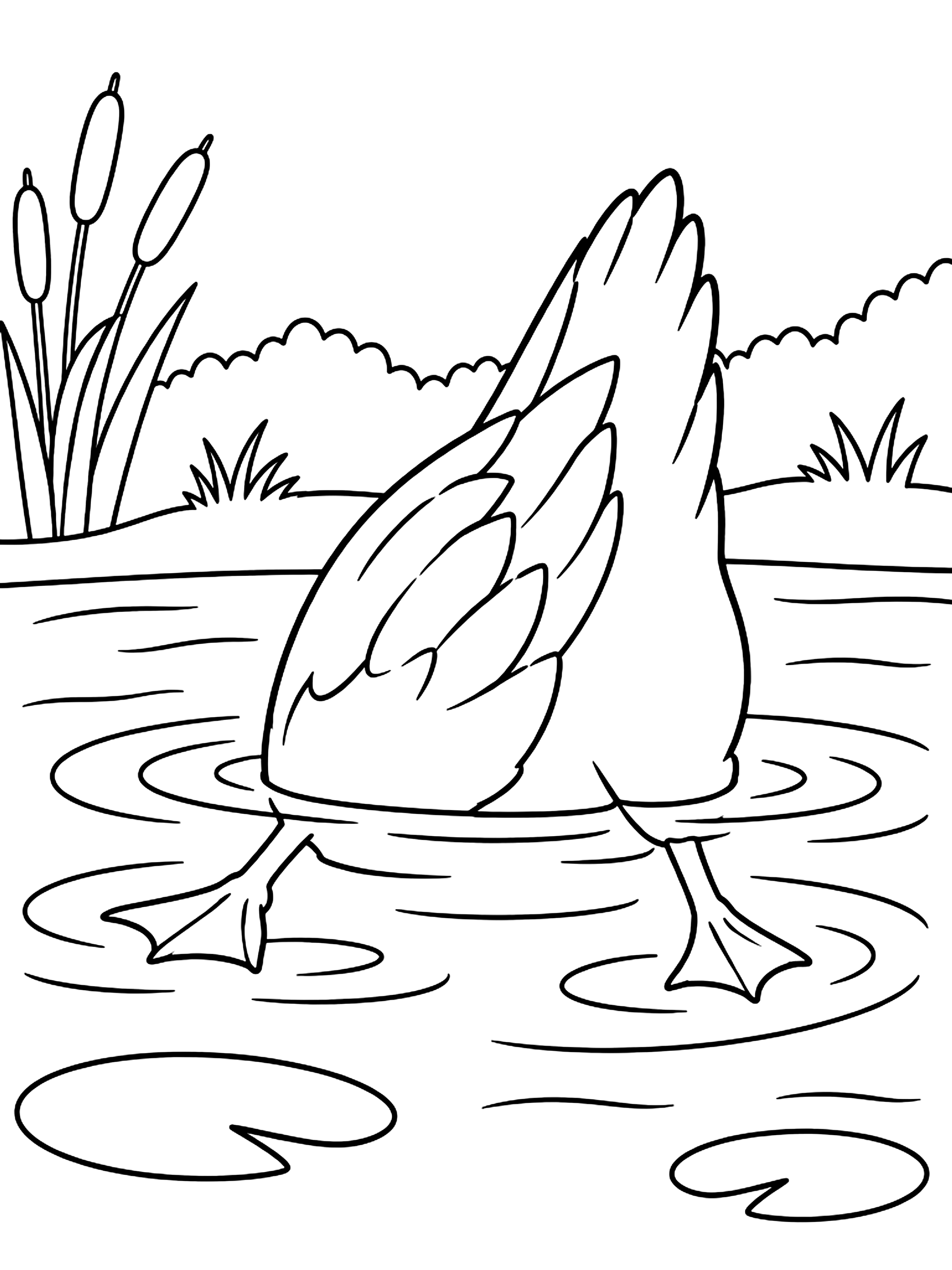 Duck dabbling with its tail in the air coloring page