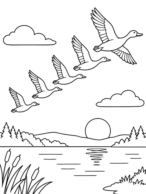 Ducks flying in a V coloring page