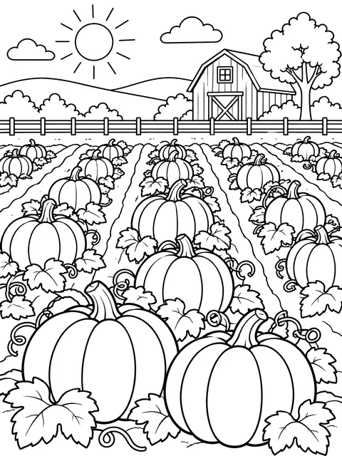 Pumpkin patch in rows coloring page