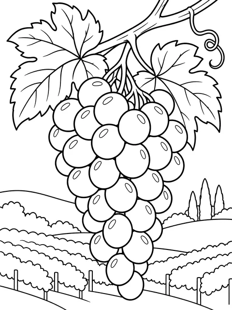 Bunch of grapes coloring page
