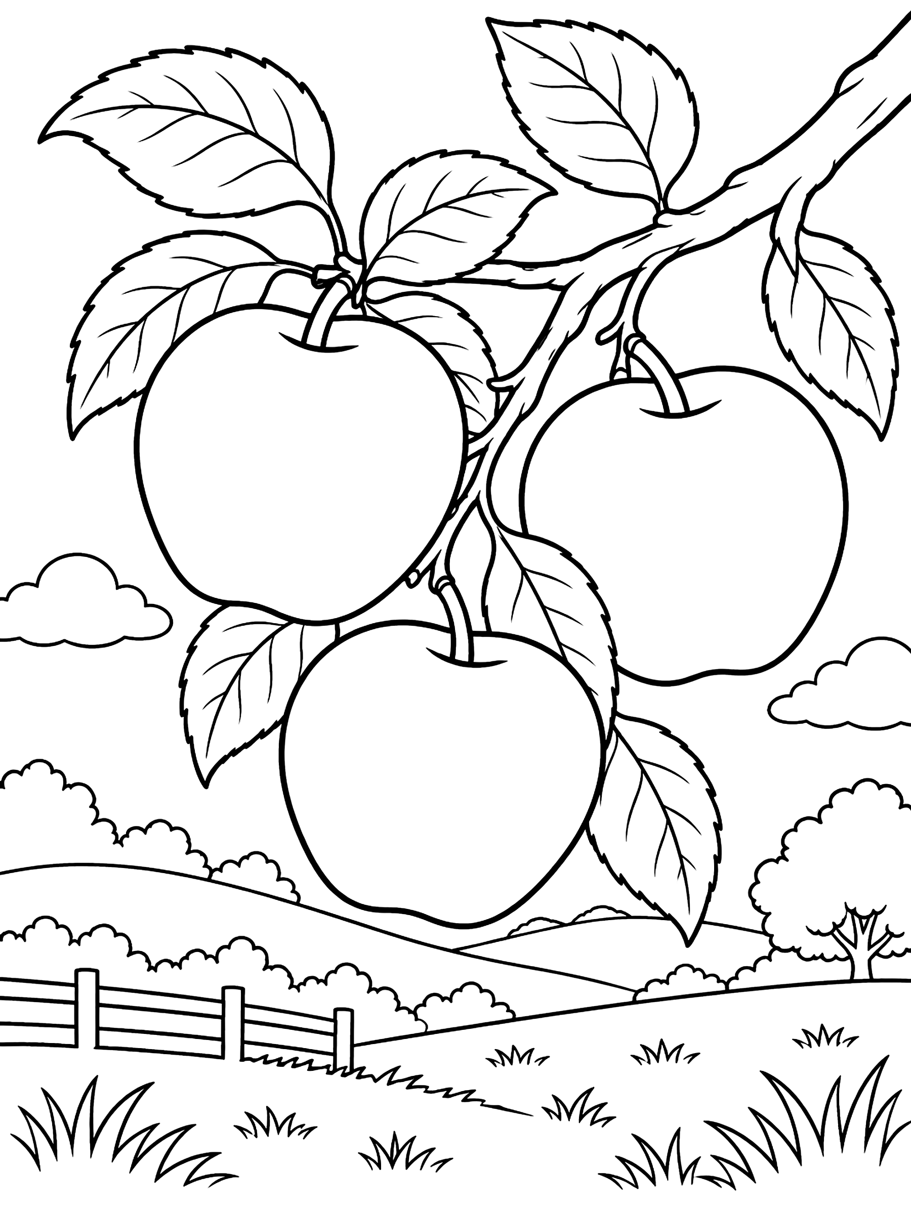 Apples on a branch coloring page