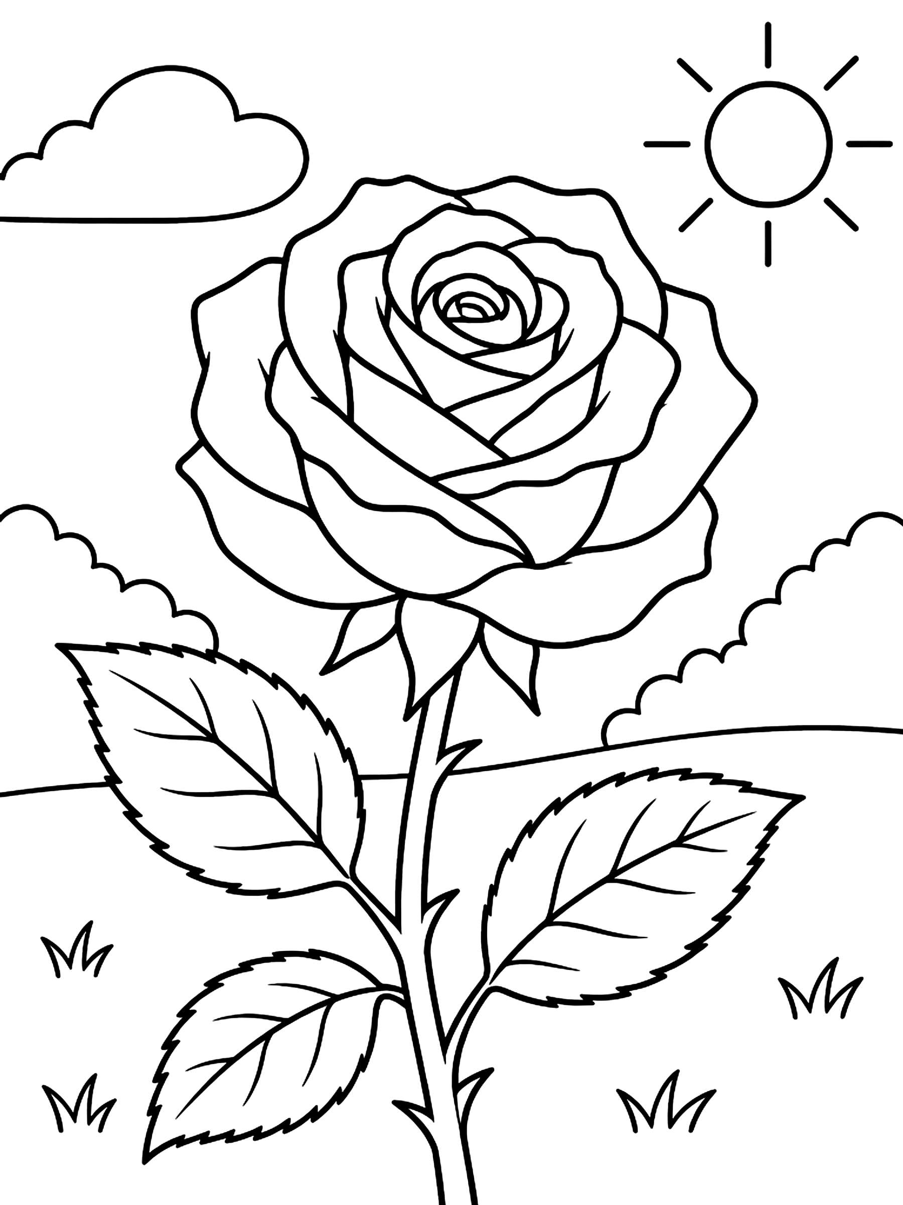 Rose in bloom coloring page