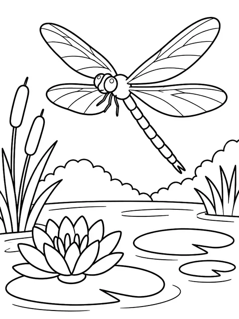 Dragonfly over a pond coloring page