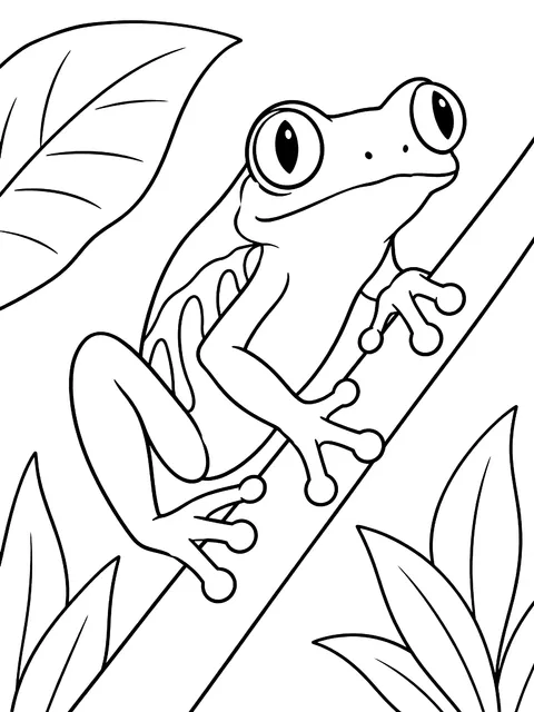 Red-eyed tree frog on a stem coloring page