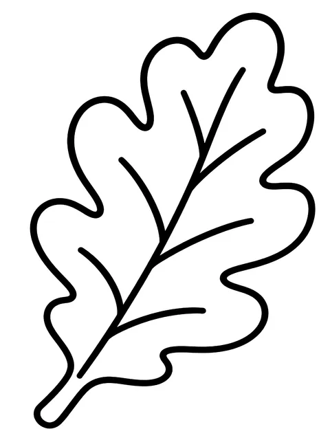Easy Oak leaf coloring page