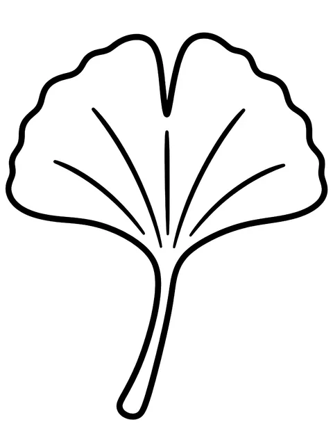 Easy Ginkgo leaf coloring page