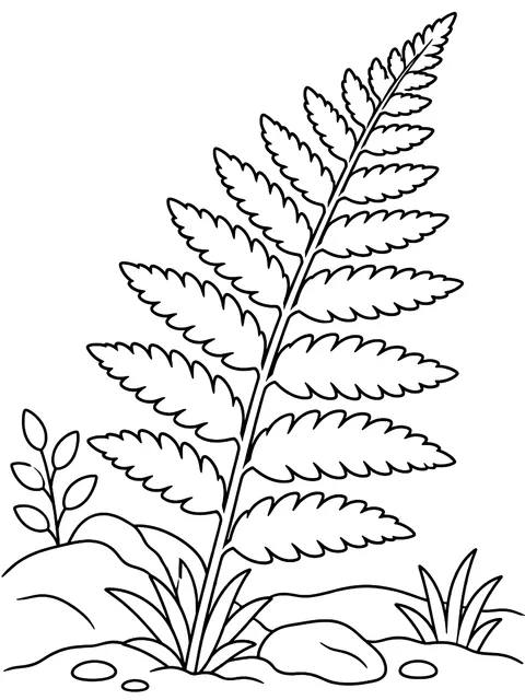 Fern frond coloring page