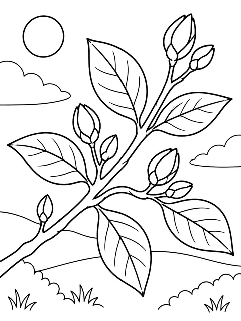 Branch with leaves and buds coloring page
