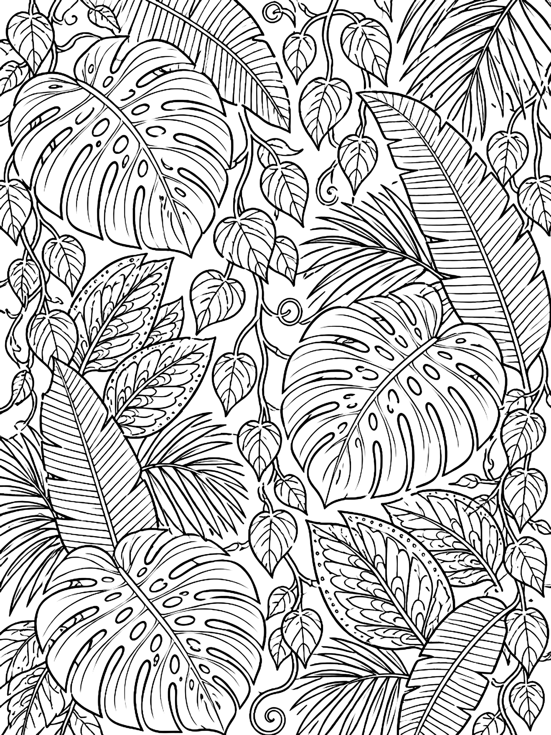 Detailed Tropical leaves and vines coloring page