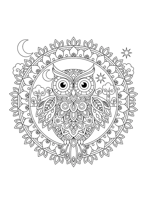 Owl mandala coloring page