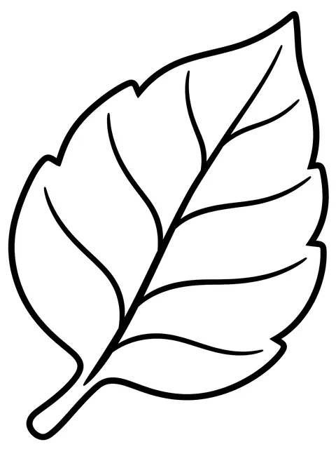 Easy Big leaf with veins coloring page