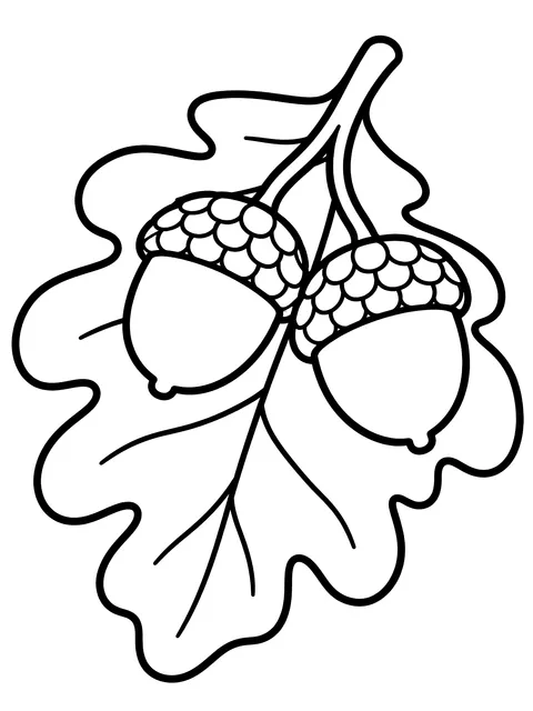 Easy Acorns on an oak leaf coloring page