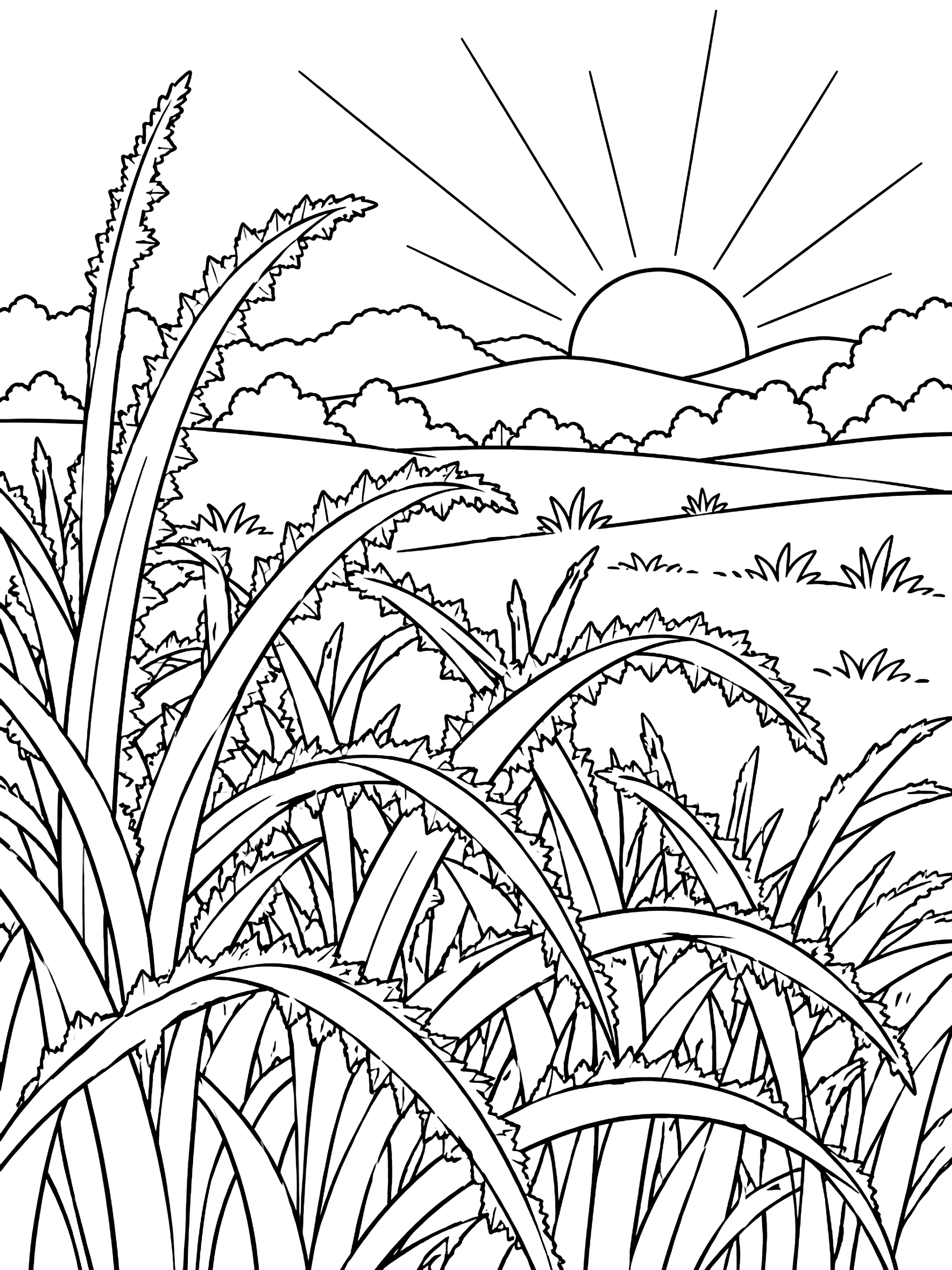 Frost on the grass at sunrise coloring page