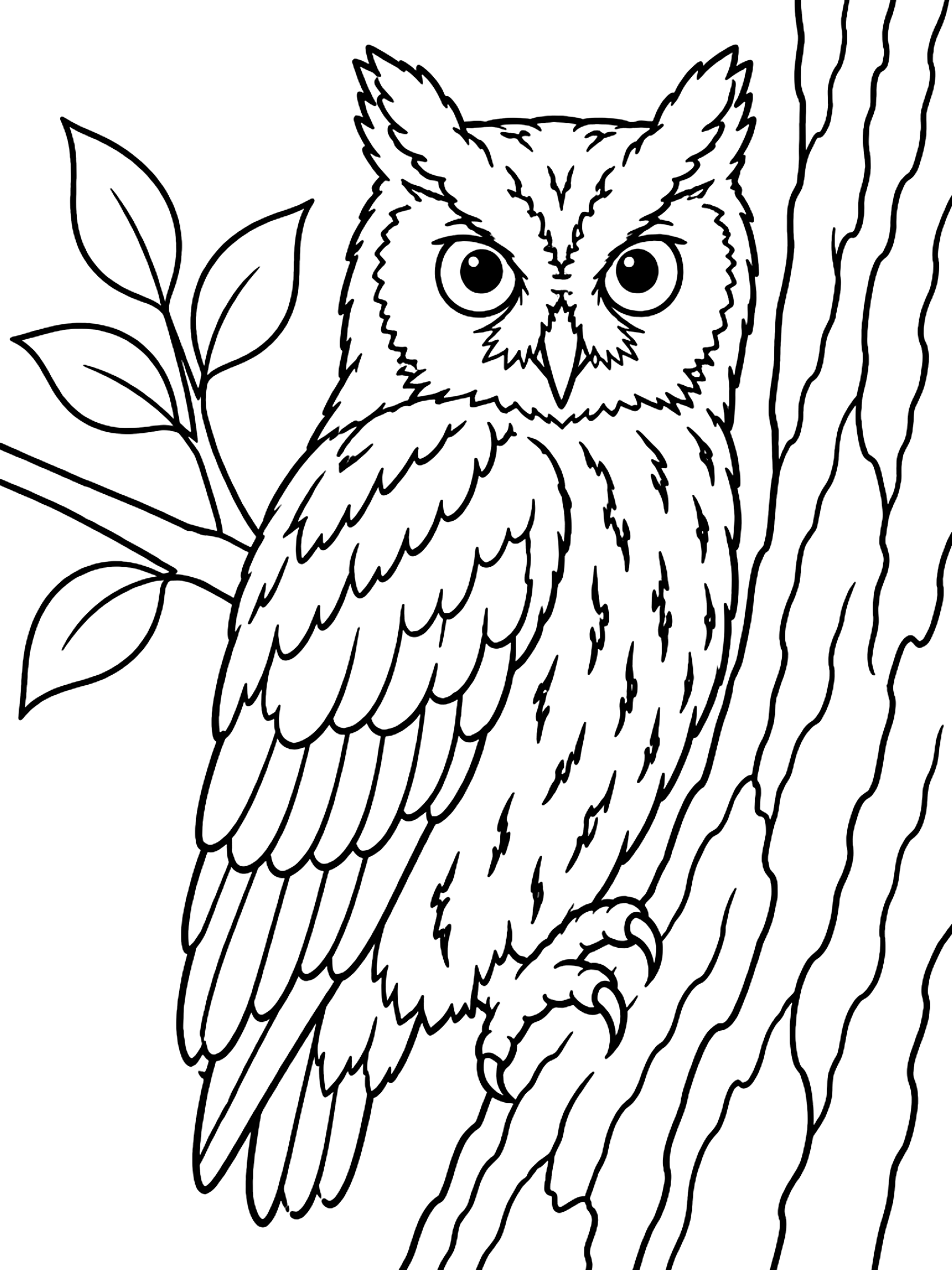 Screech owl against tree bark coloring page