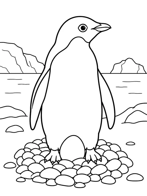 Adélie penguin with a pebble nest coloring page