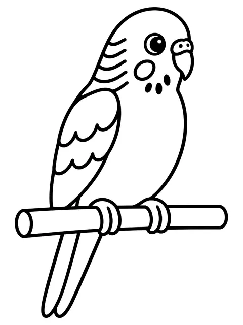Easy Parakeet on a perch coloring page