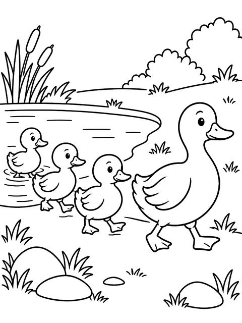 Ducks waddling over from the pond coloring page