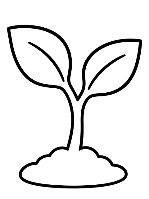 Easy Seedling with two leaves coloring page