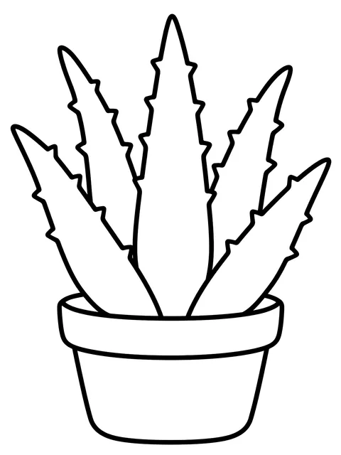Easy Aloe plant coloring page