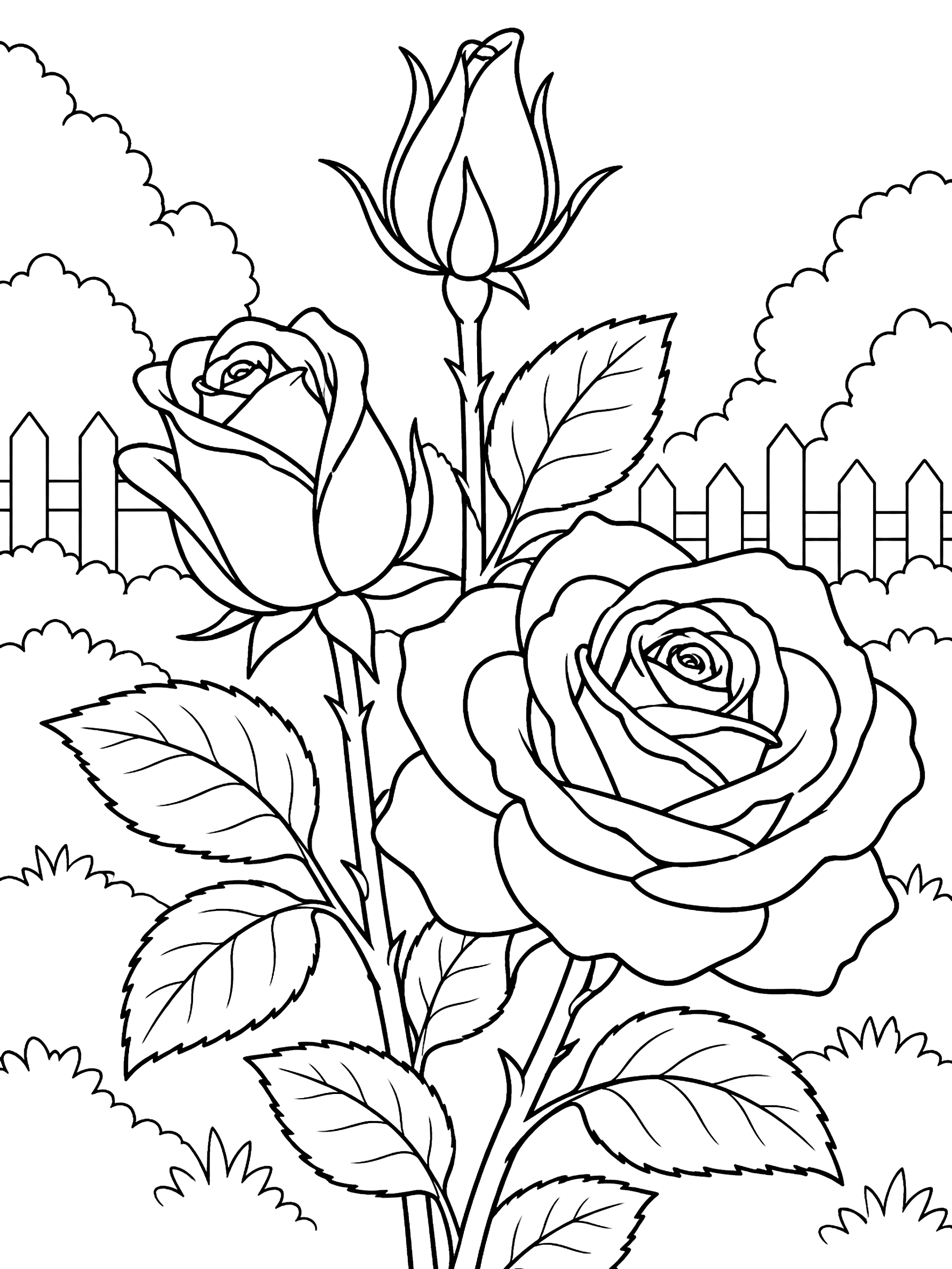 Rose as a bud, half open and in full bloom coloring page