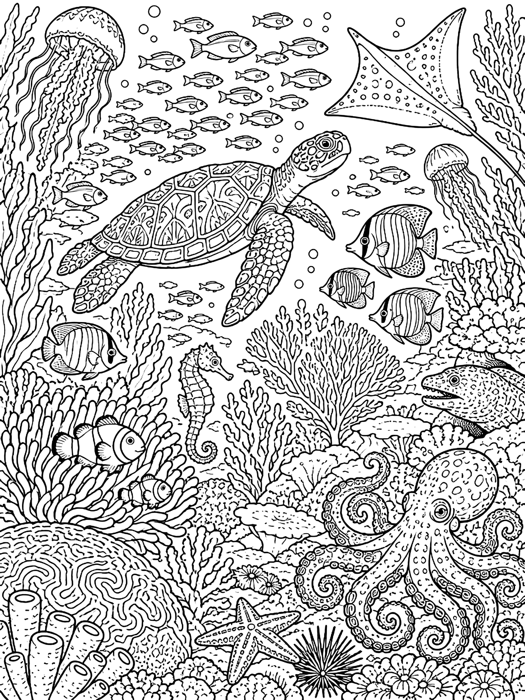 Detailed Coral reef crowded with sea animals coloring page