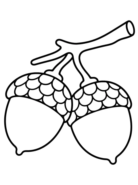 Easy Two acorns on a twig coloring page