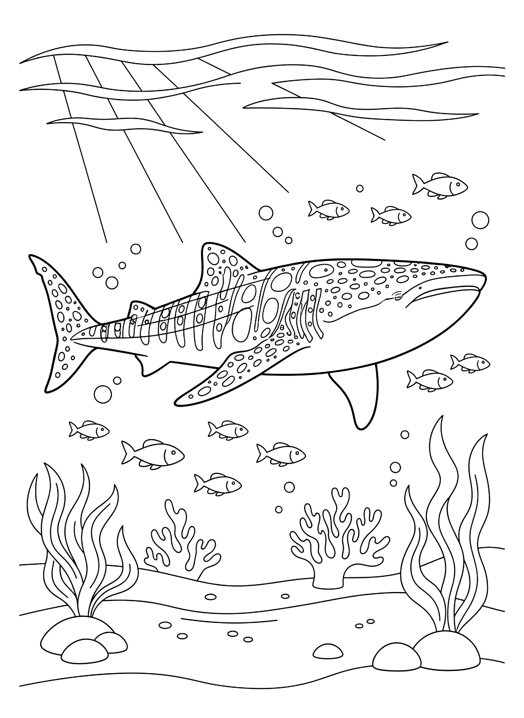 Whale shark with small fish coloring page