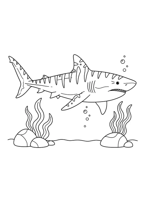 Tiger shark coloring page