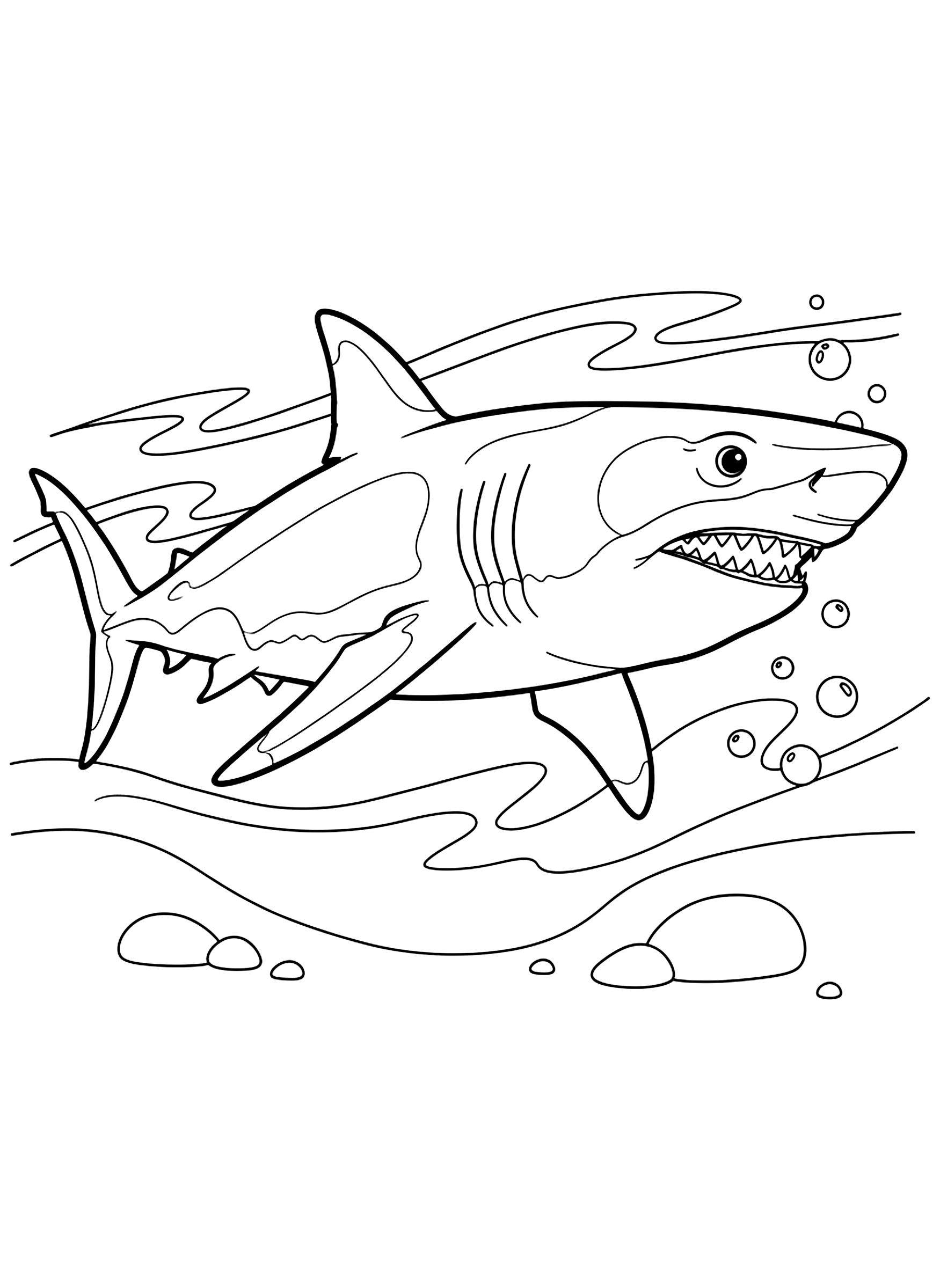 Great white shark coloring page