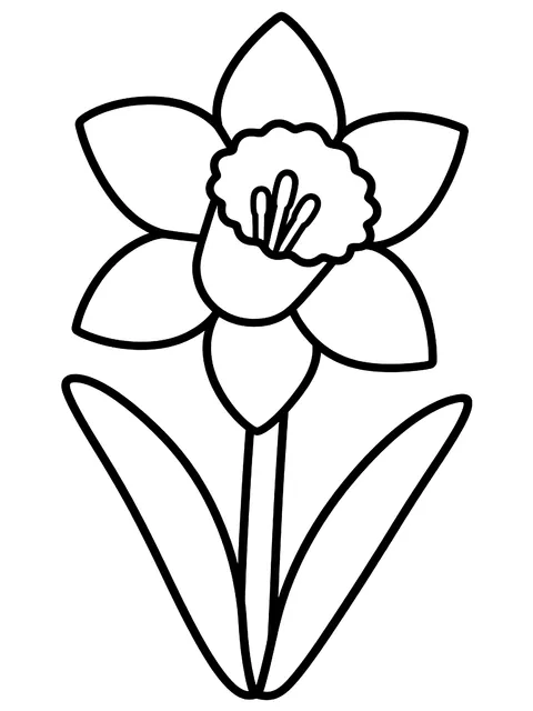 Easy Daffodil coloring page