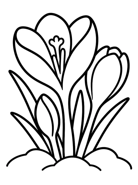 Easy Crocuses in the snow coloring page