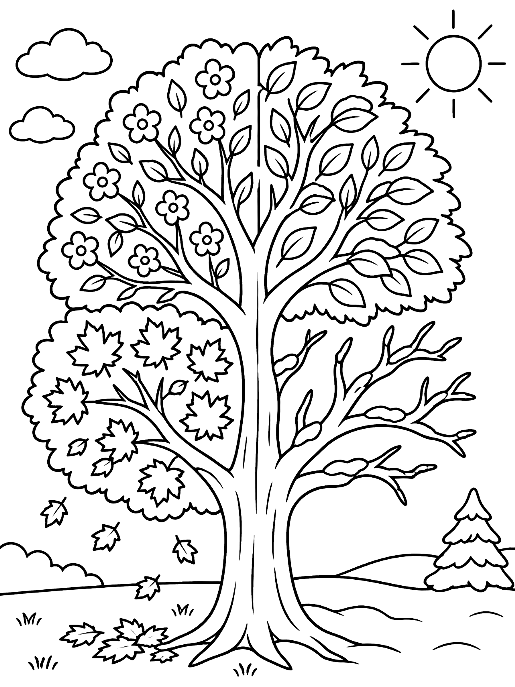 One tree in four seasons coloring page