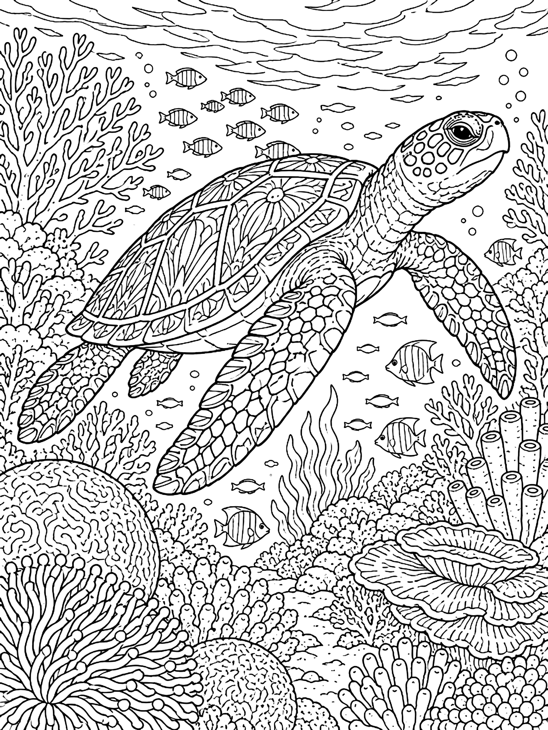 Detailed Sea turtle over a coral reef coloring page