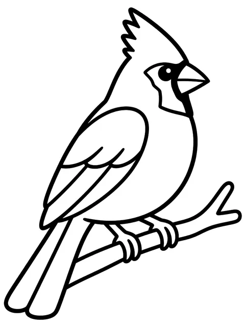 Easy Northern cardinal on a branch coloring page