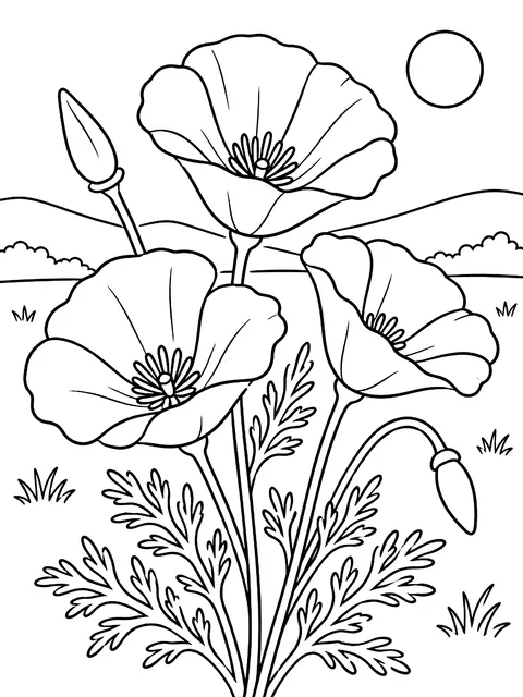 California poppies coloring page